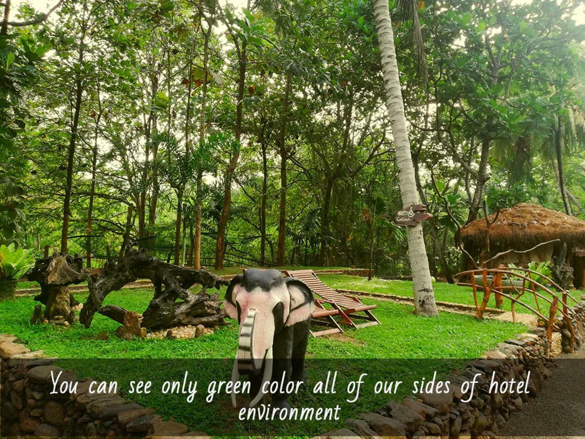 Atha Safari Resort & Riverside Camping อุดาวาลาเว ภายนอก รูปภาพ